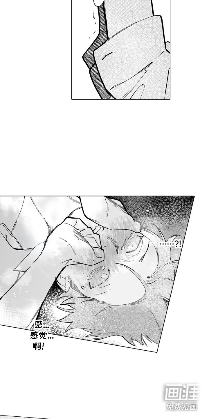 第4章：骗子