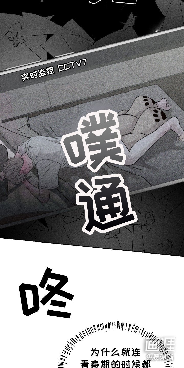 第4章：抚养长大