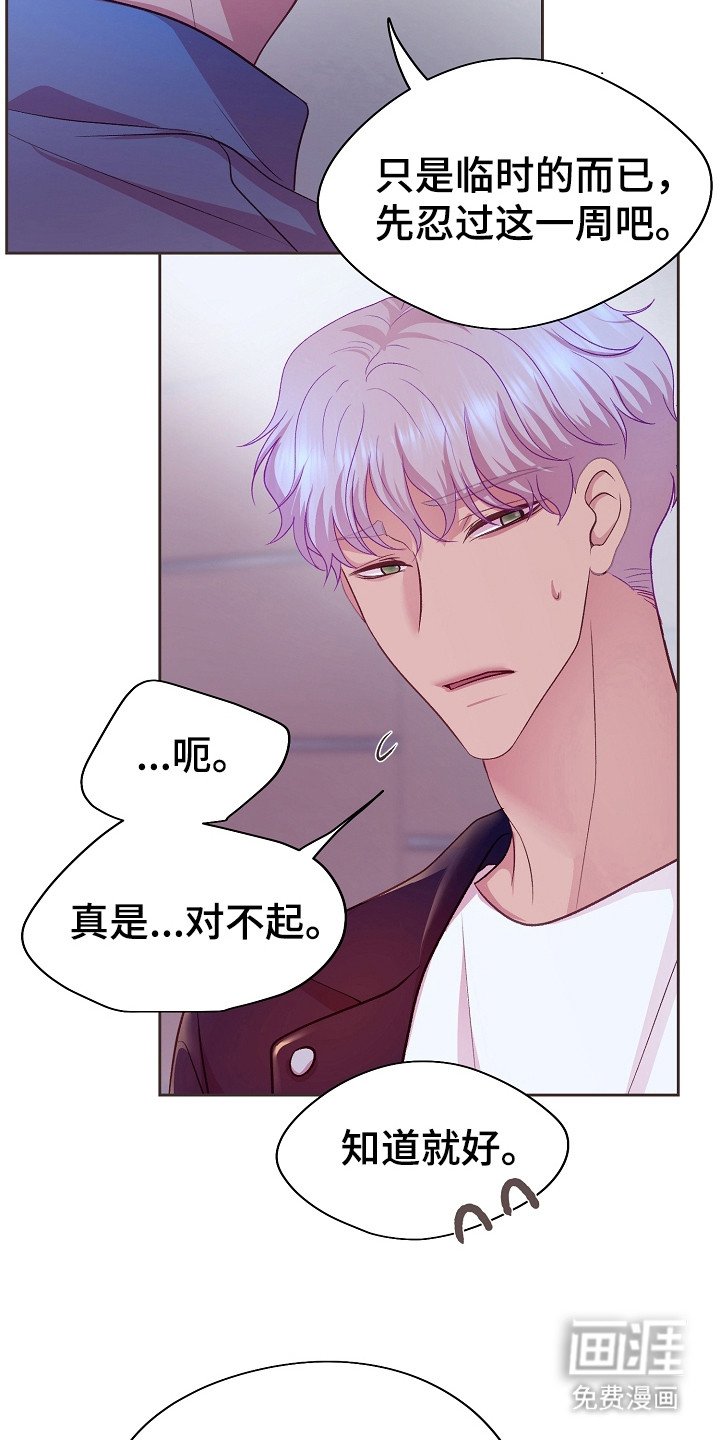 第13章： 即视感