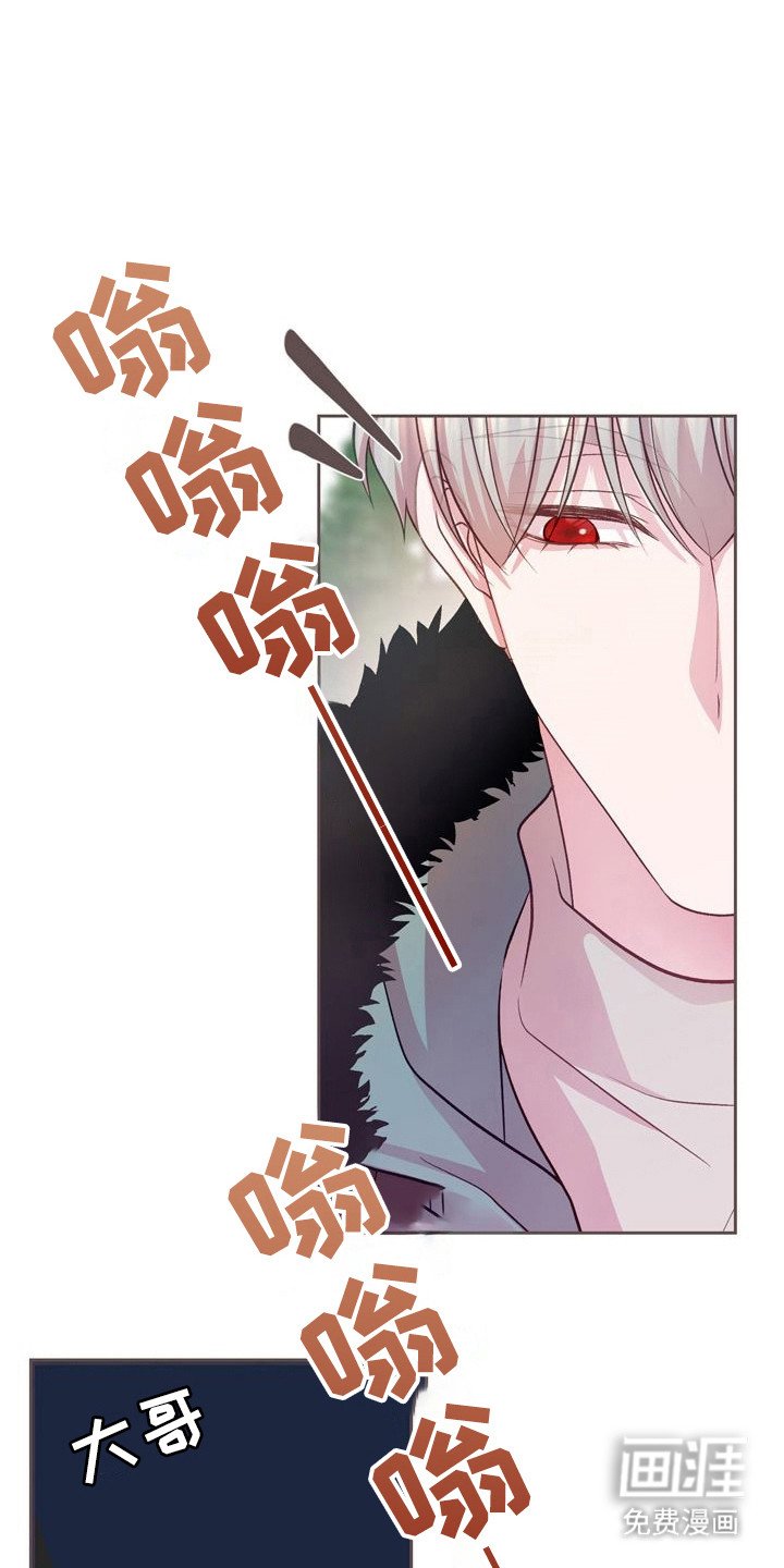 第18章：案例