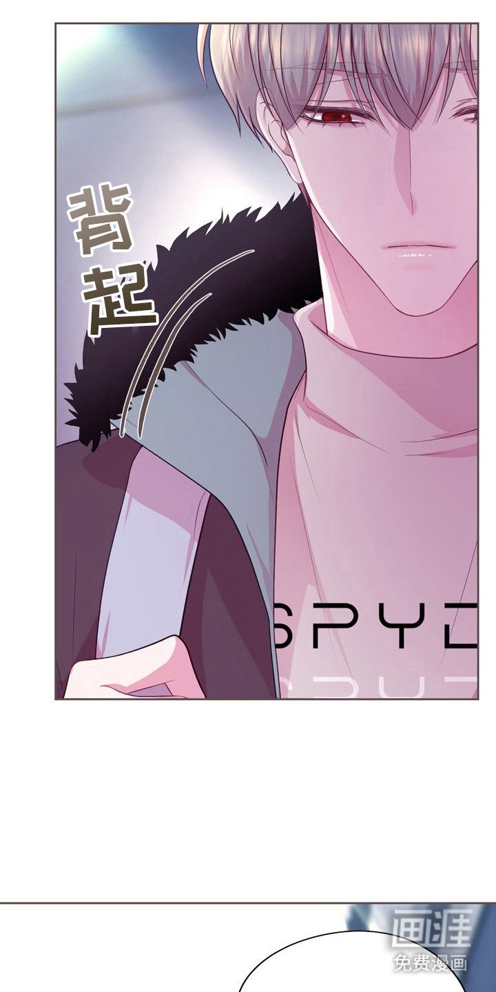 第18章：案例