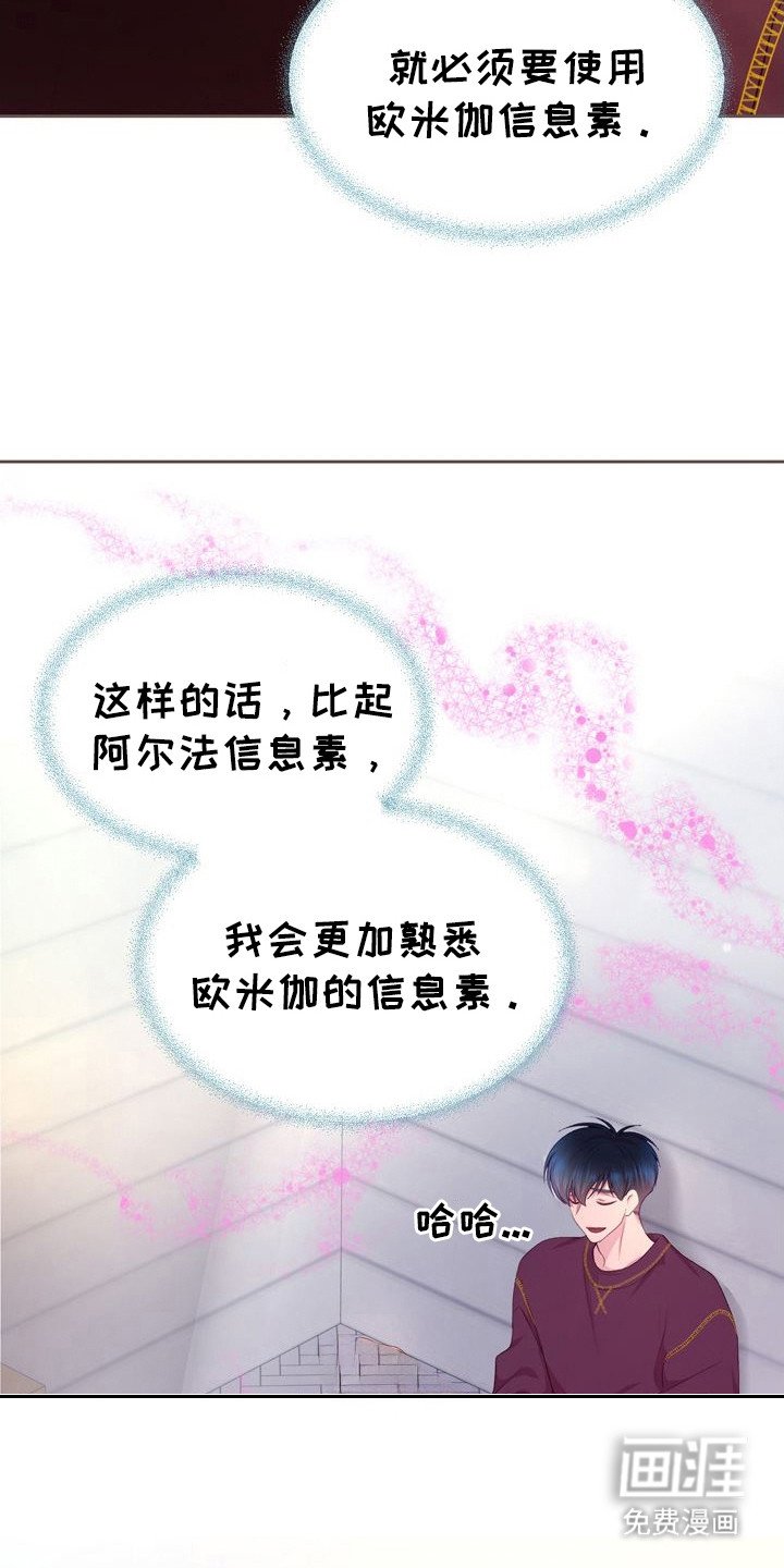 第20章：信息素