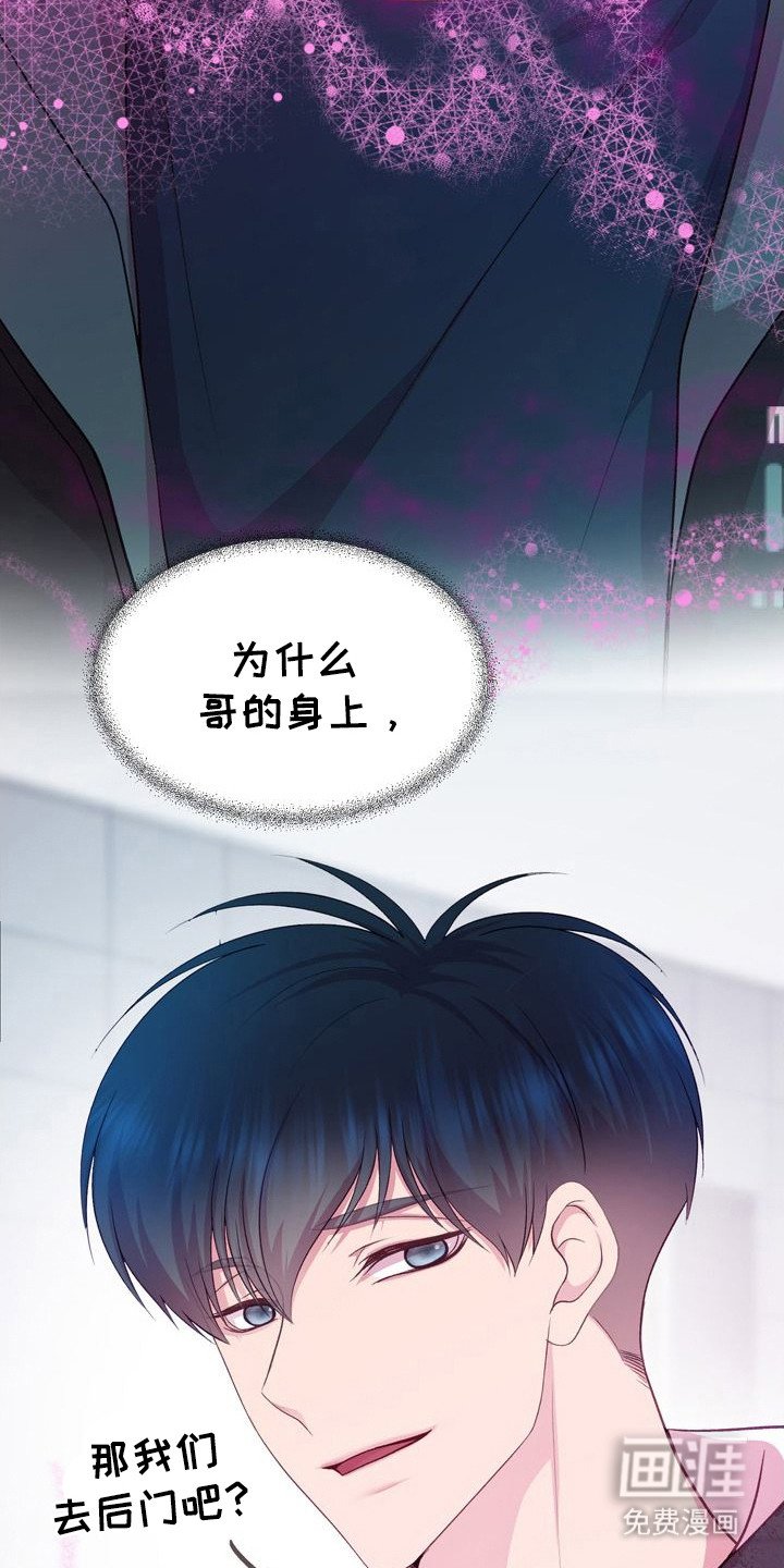 第20章：信息素
