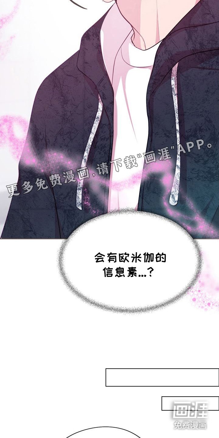 第20章：信息素