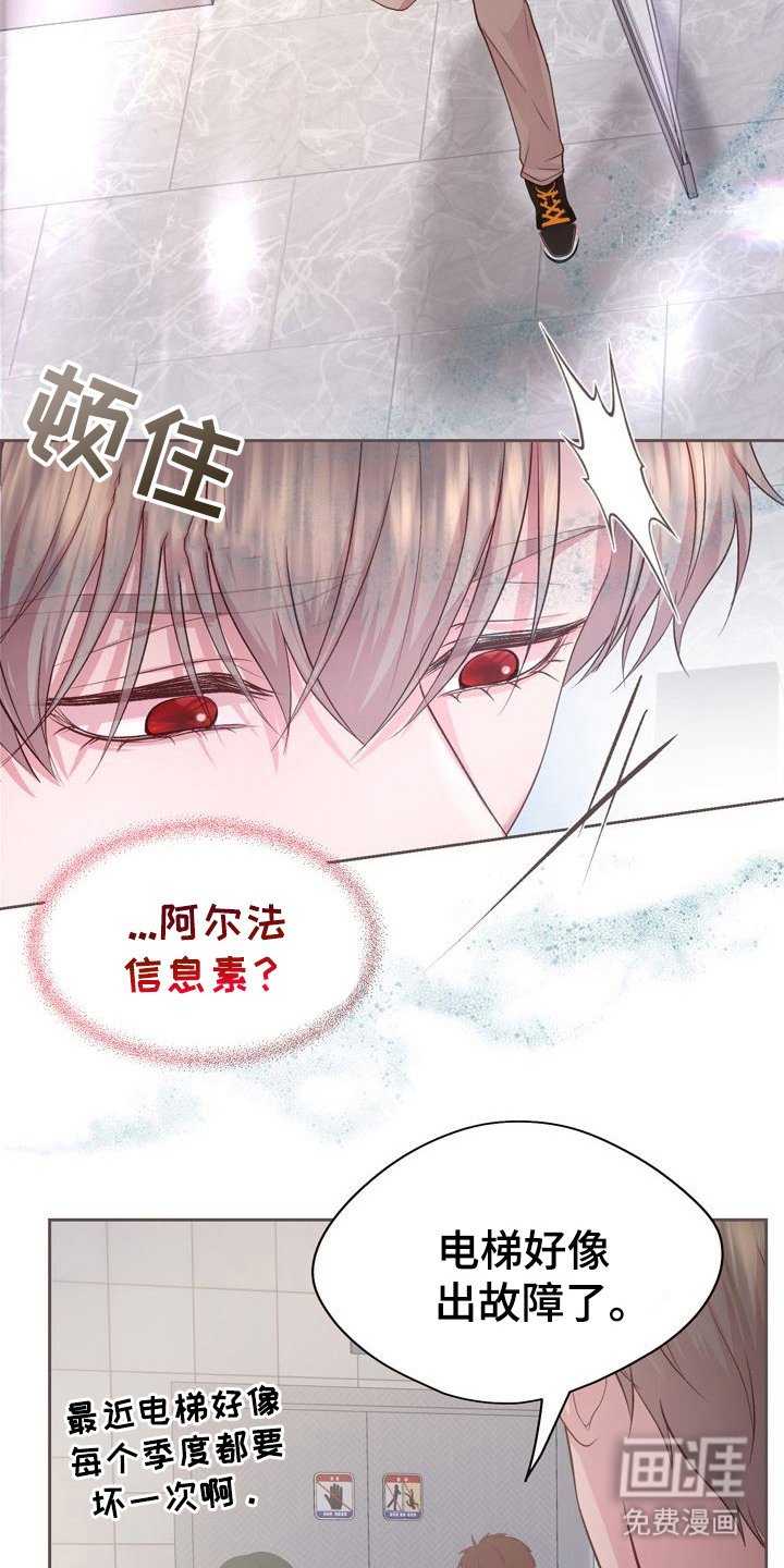 第27章：飞奔回去