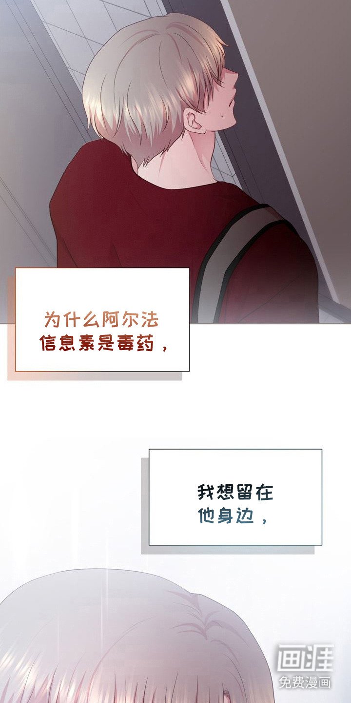 第28章：很浓烈