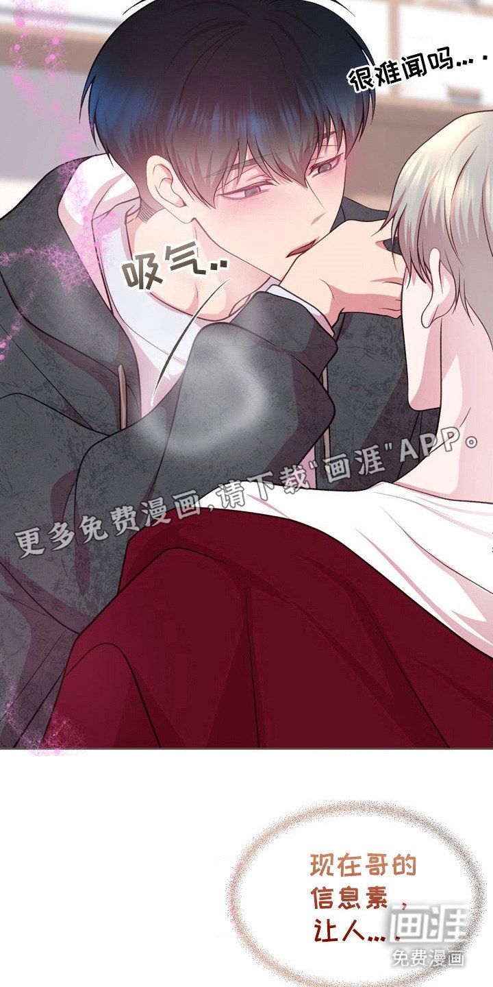 第29章：你的全部