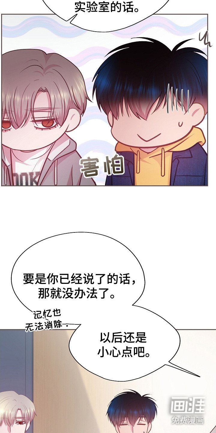 第31章：教授