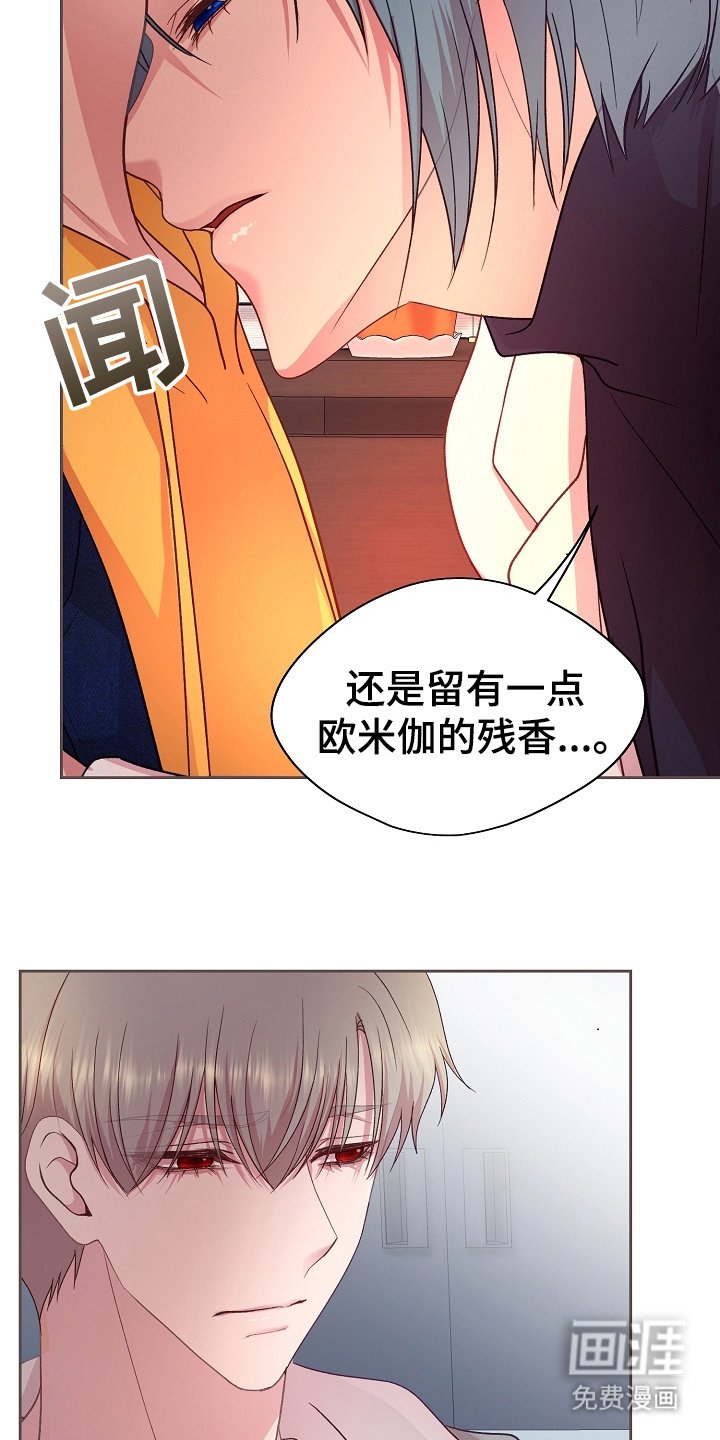 第31章：教授