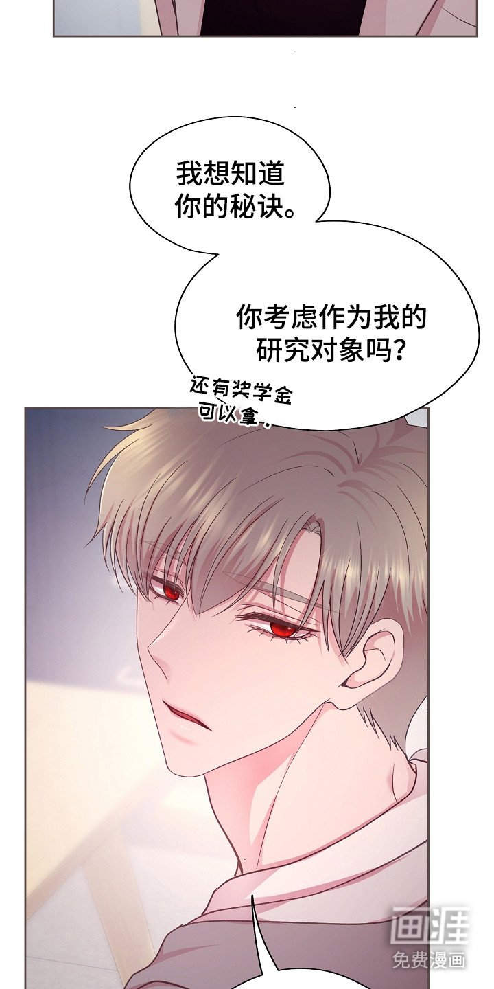 第32章：描述细节