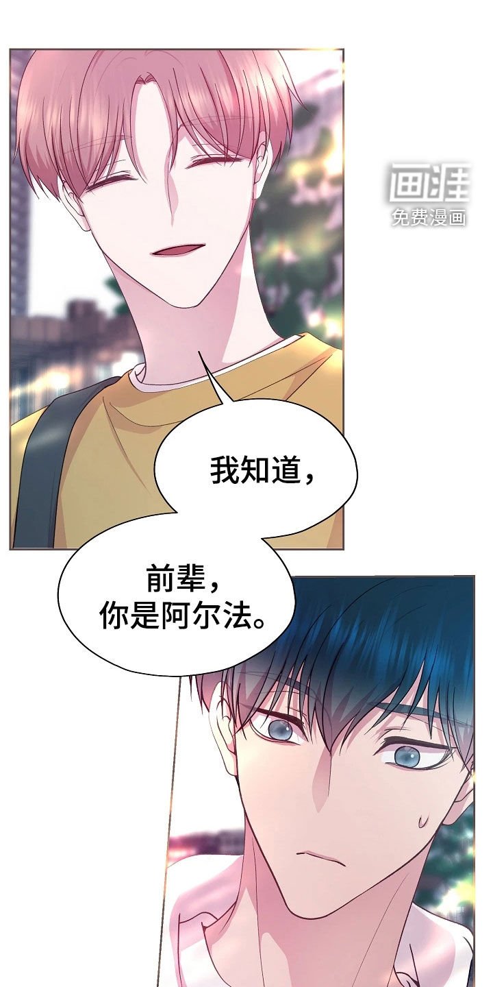 第46章：监视