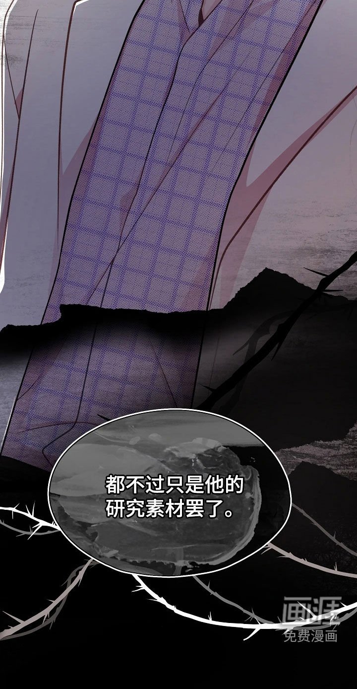 第47章：研究素材