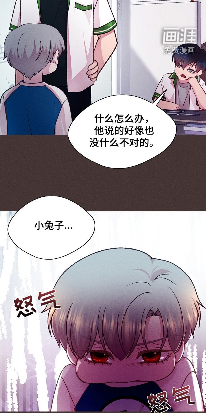 第48章：小兔子