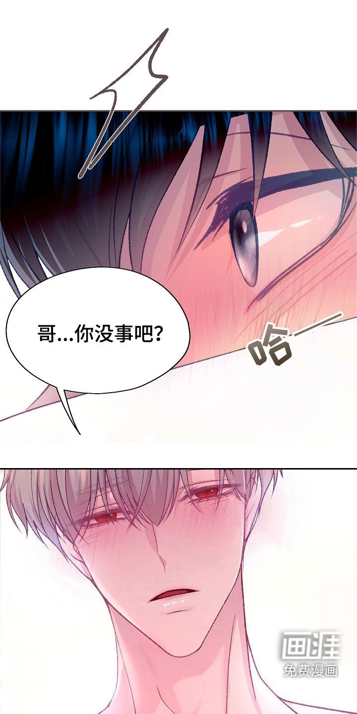 第53章：很喜欢你