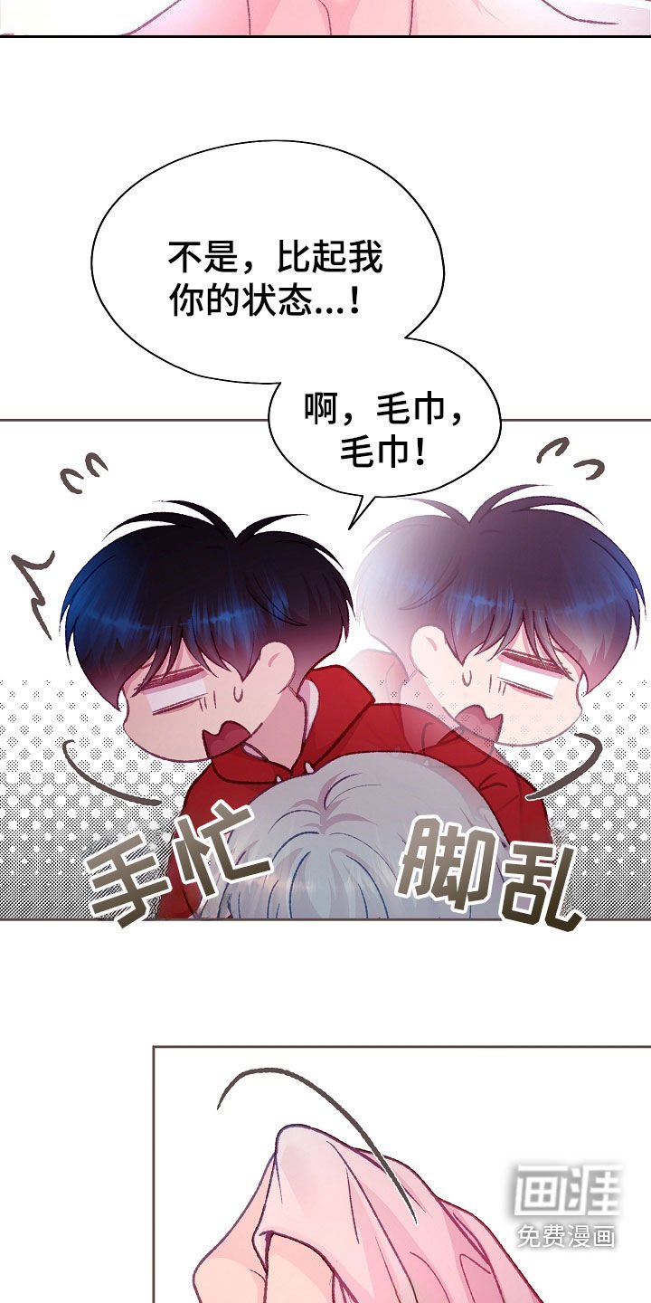 第53章：很喜欢你