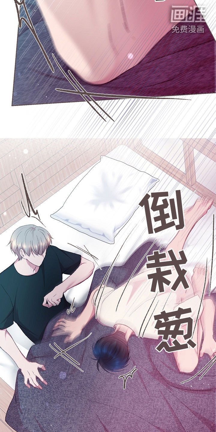 第66章：乖乖待着就好