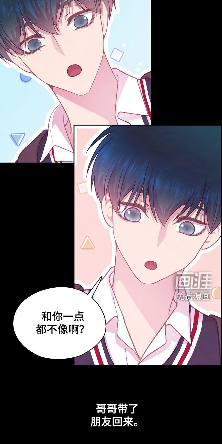 第73章：双胞胎