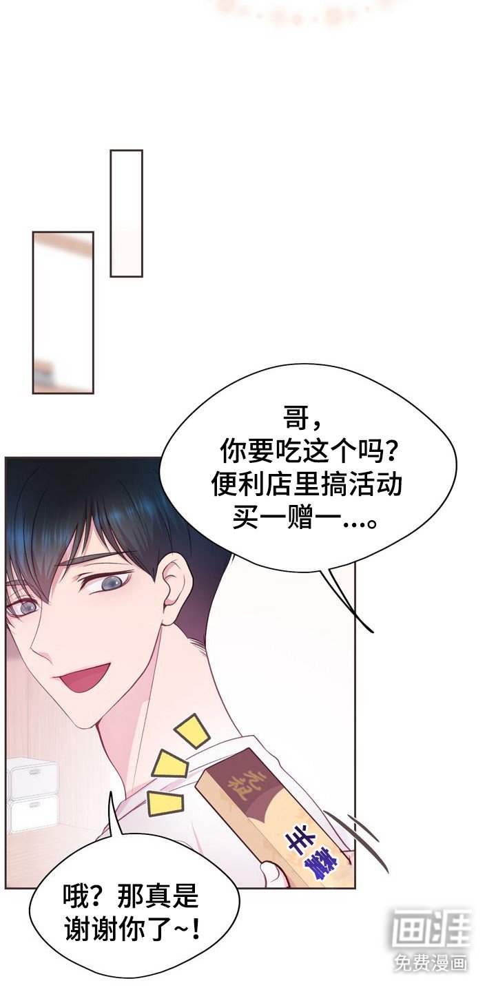 第8章：投喂