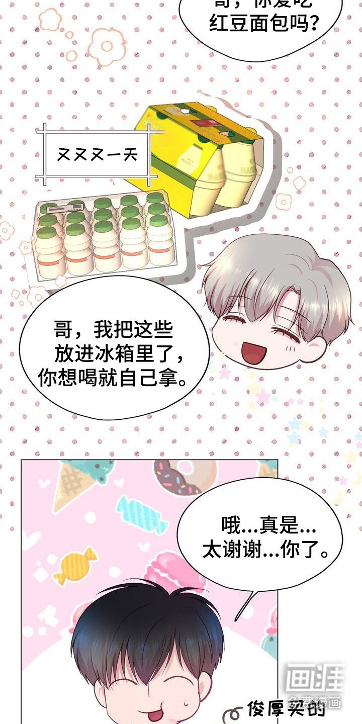 第8章：投喂