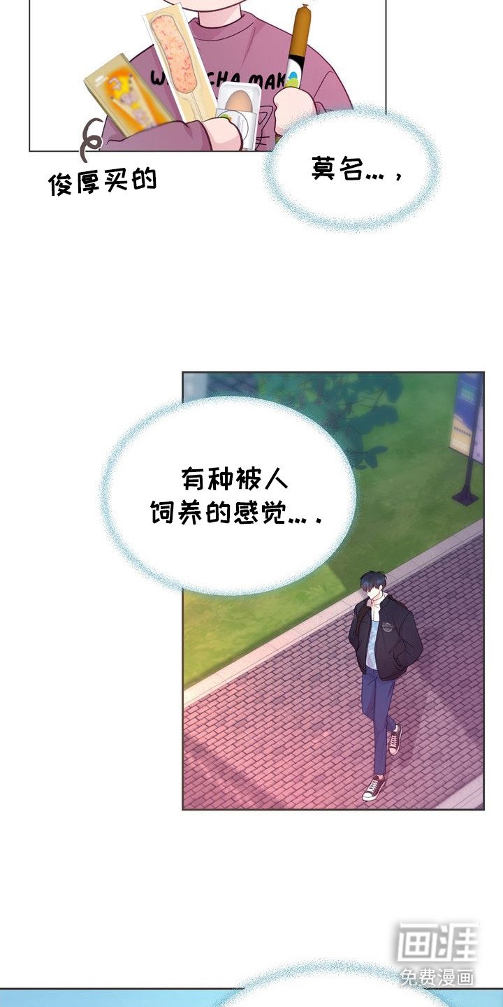 第8章：投喂