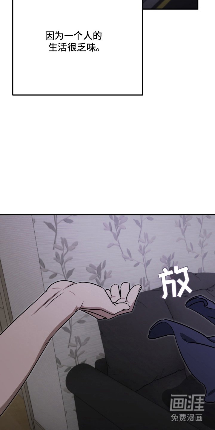 第11章：消失三个月