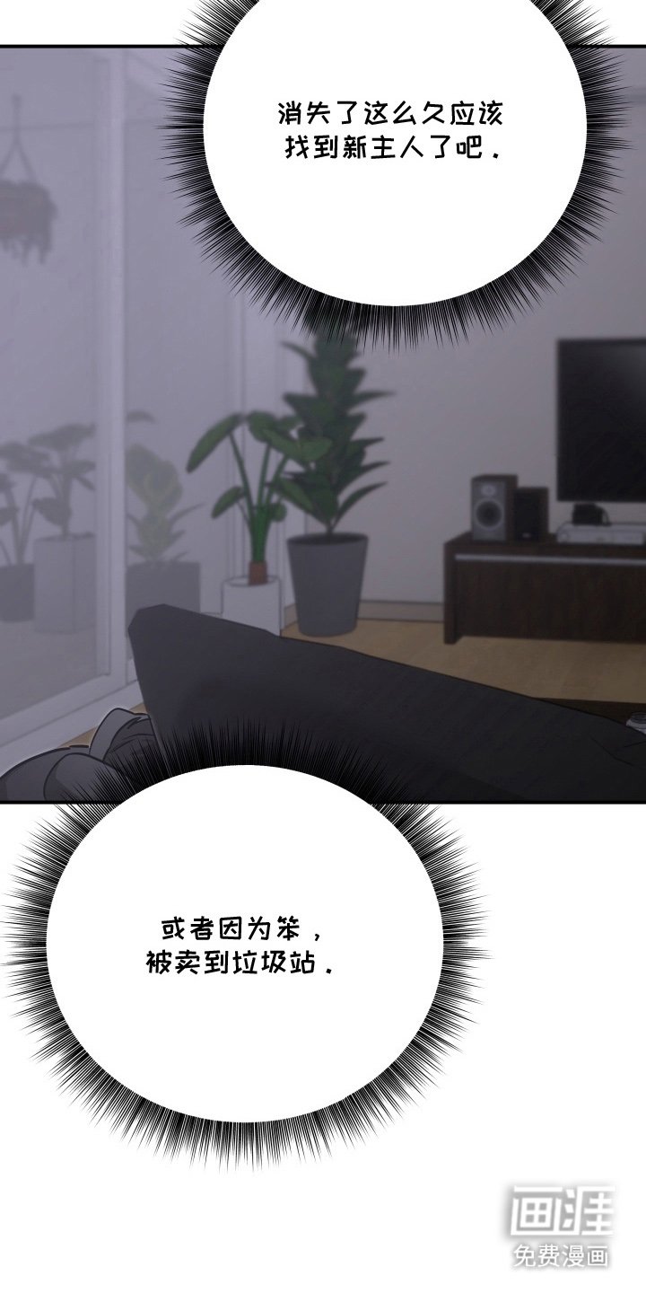 第11章：消失三个月