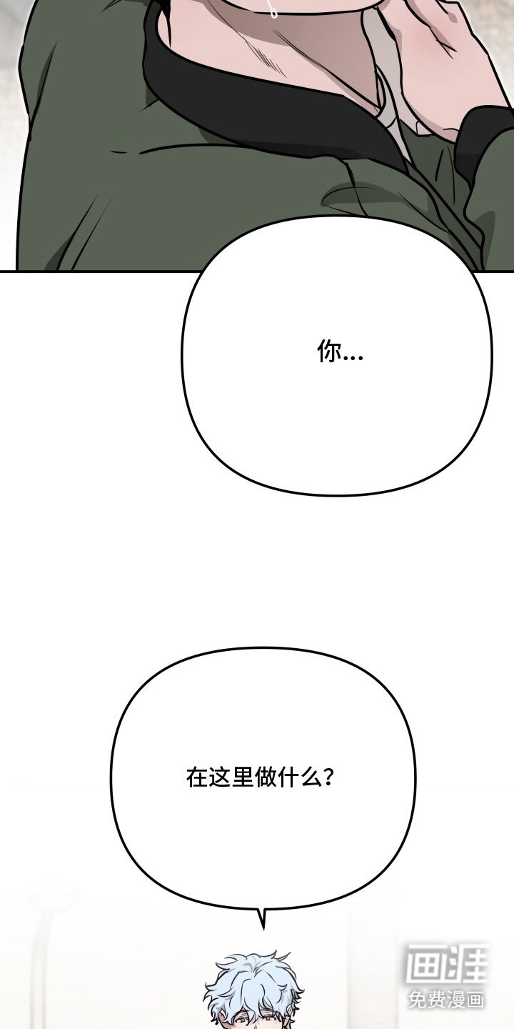 第13章：在这做什么
