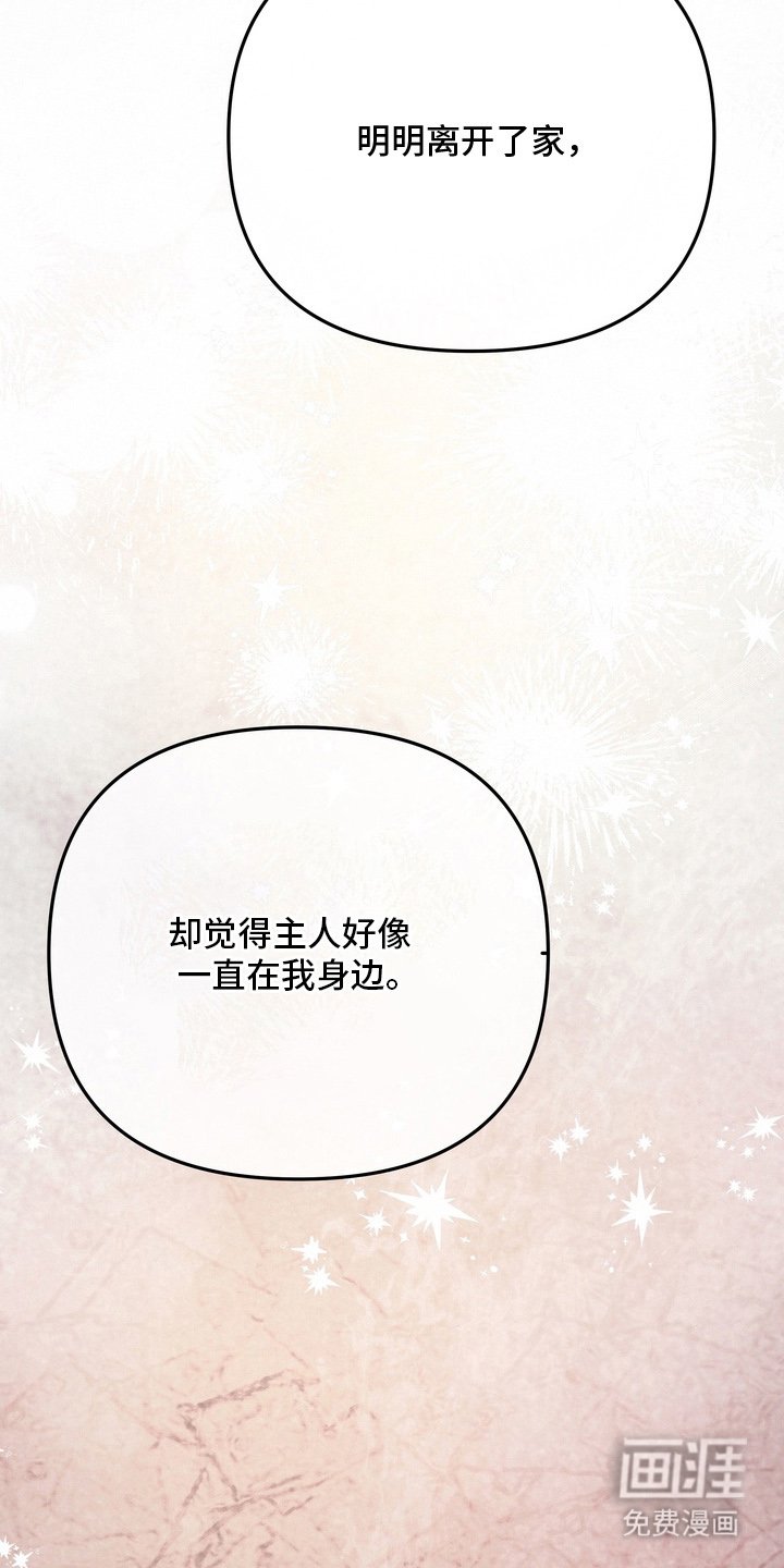 第15章：正因如此