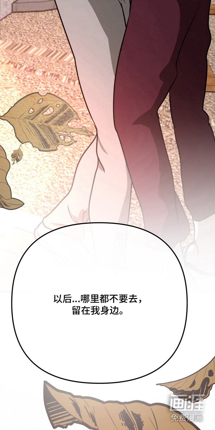 第16章：我们回家吧（完结）