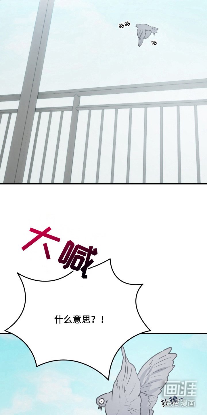 第4章：微妙