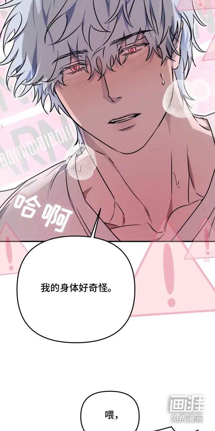 第7章：相亲