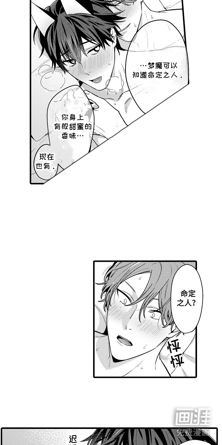 第11章：喜欢你