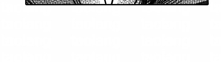 第14章：烟花