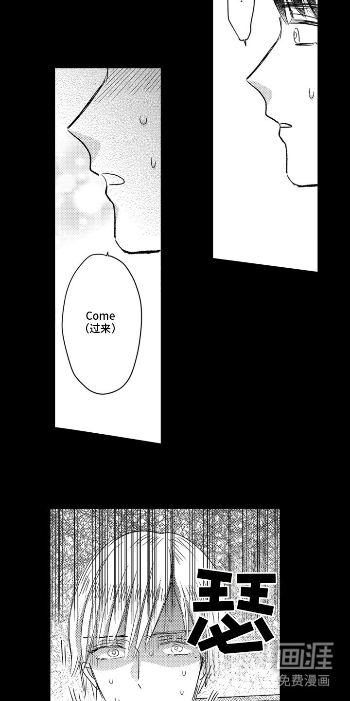 第6章：训练