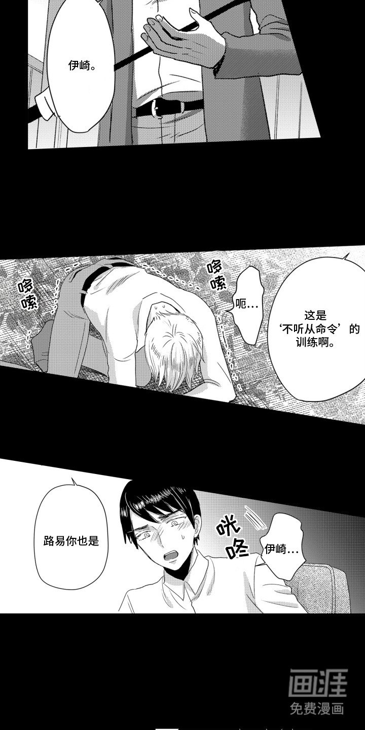 第6章：训练