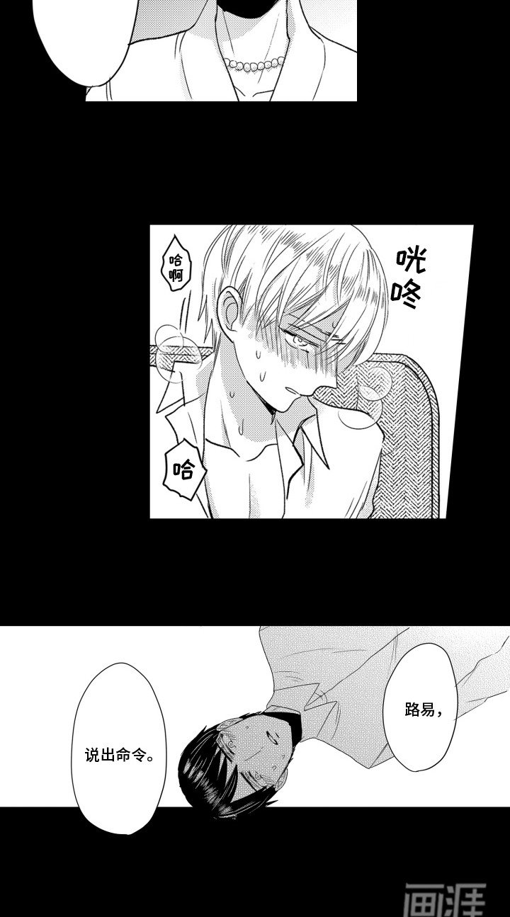 第6章：训练
