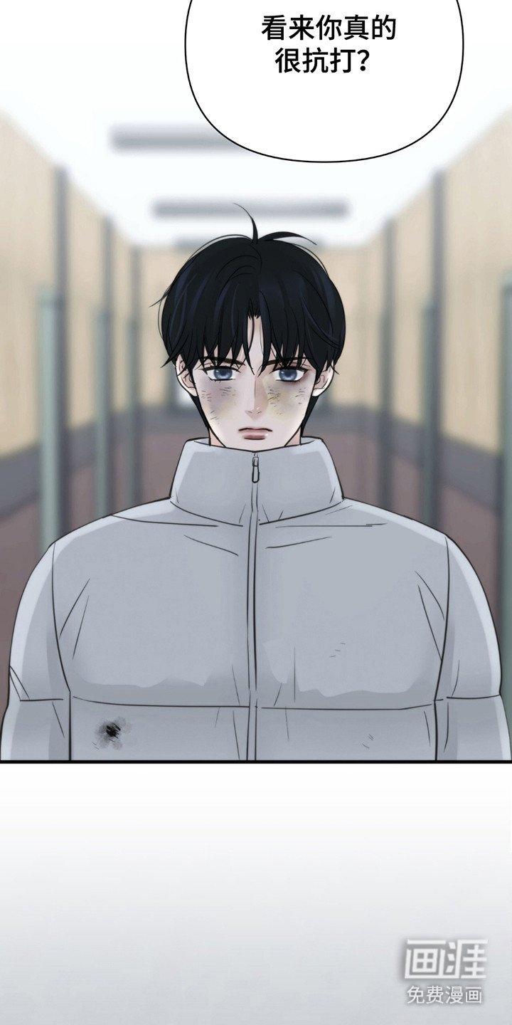 第11章：招惹