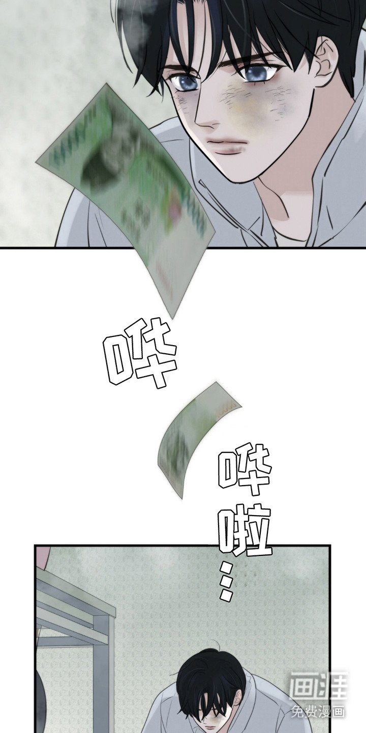 第11章：招惹