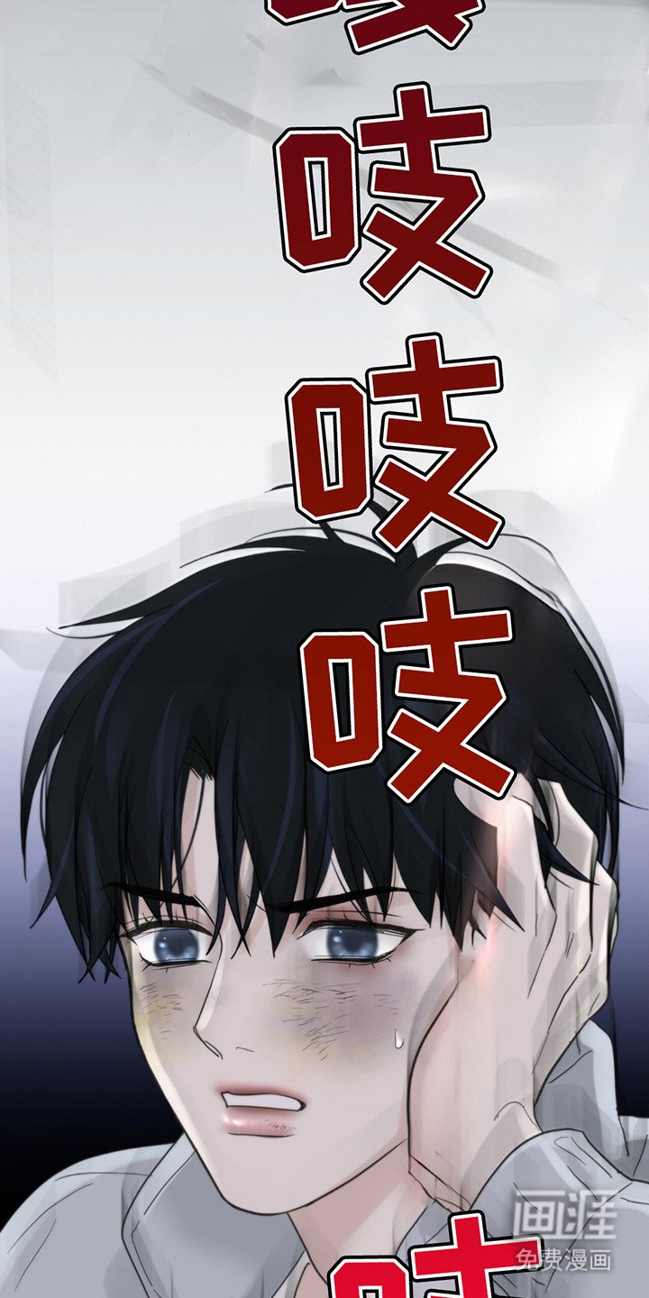 第13章：写在脸上