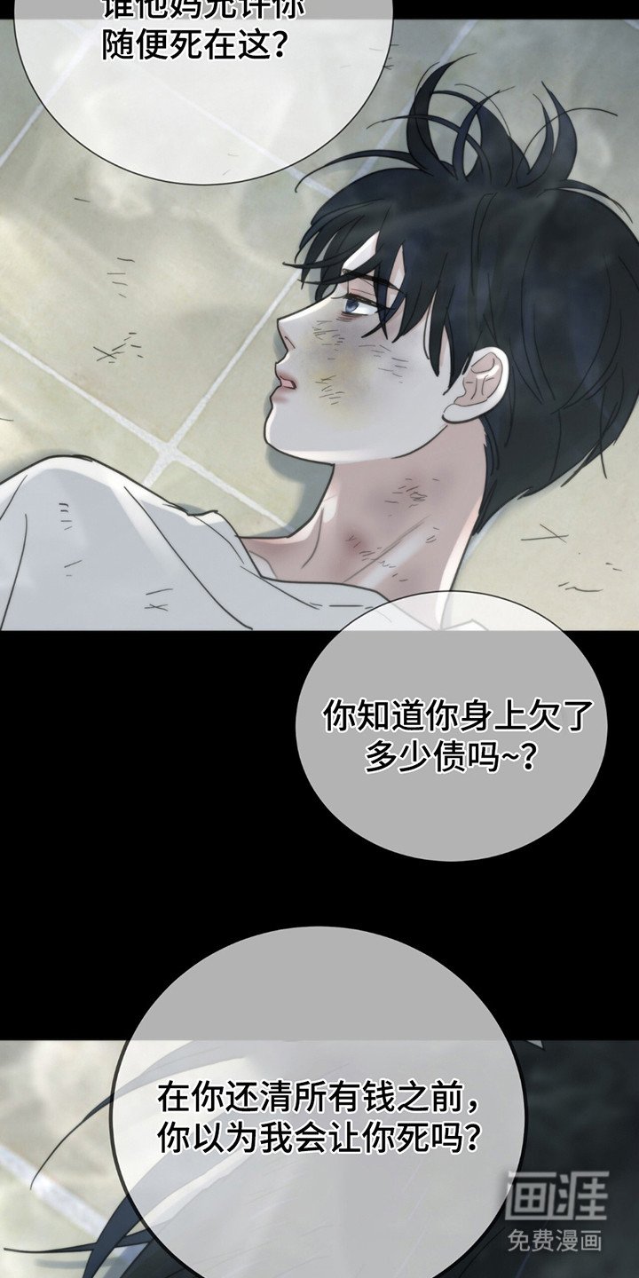 第13章：写在脸上