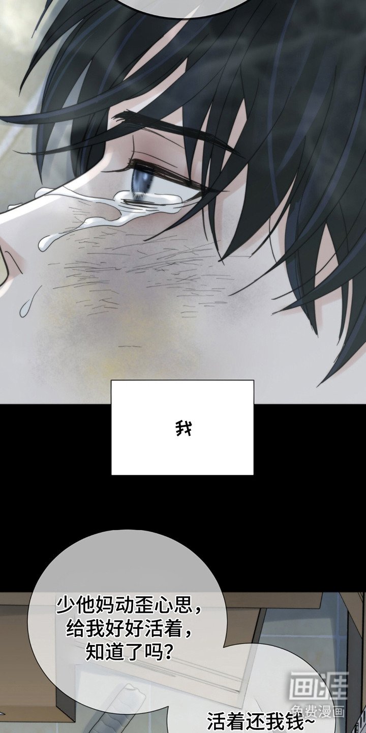 第13章：写在脸上