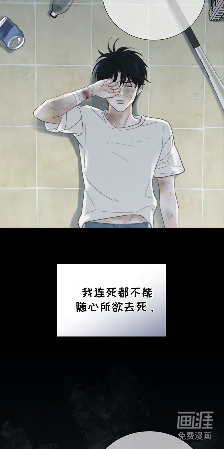 第13章：写在脸上