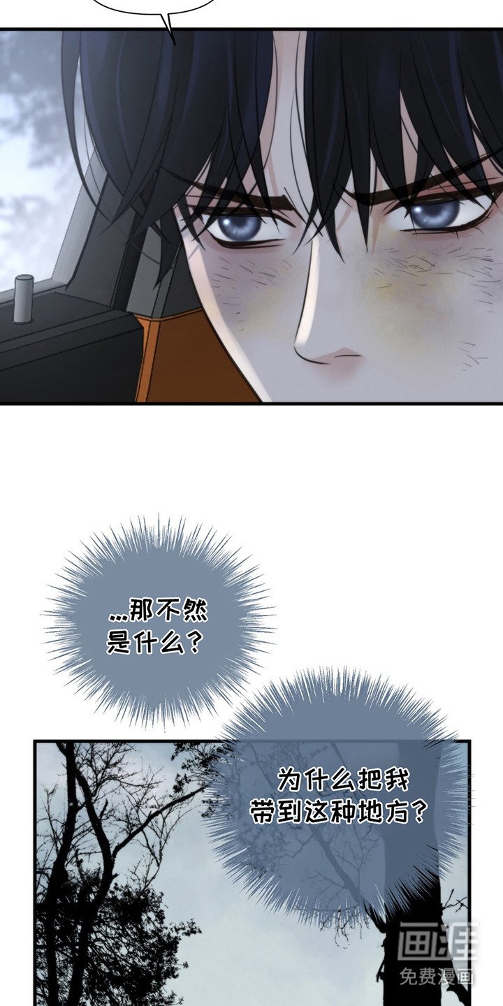 第16章：回答