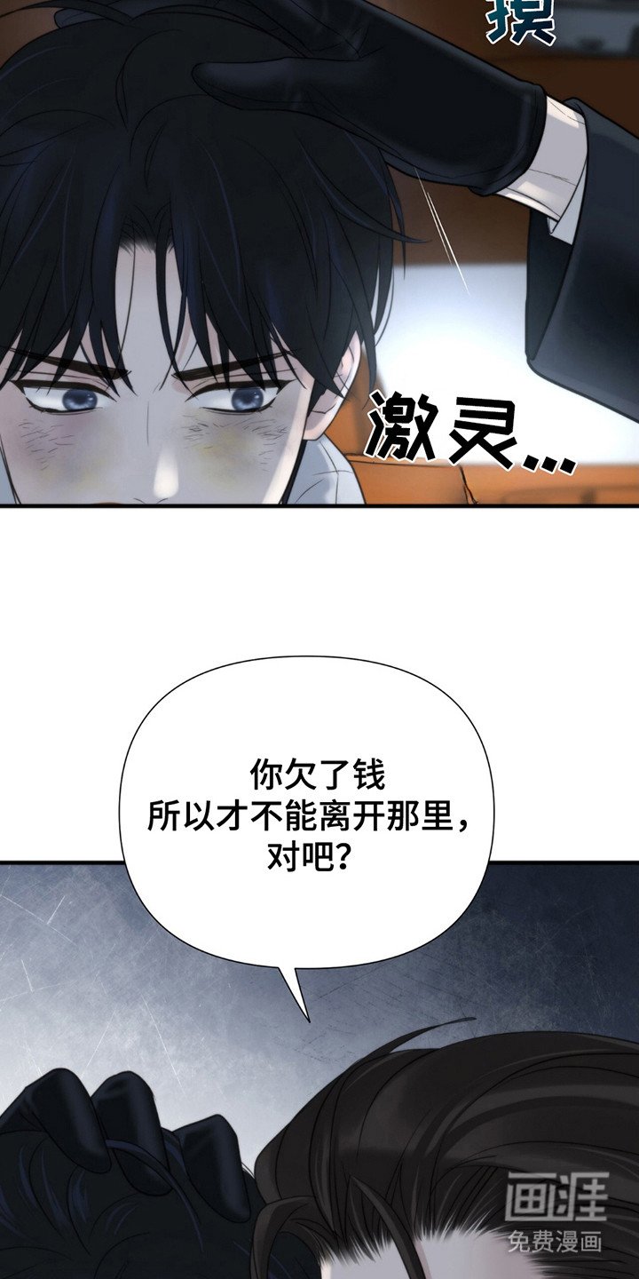 第17章：要求
