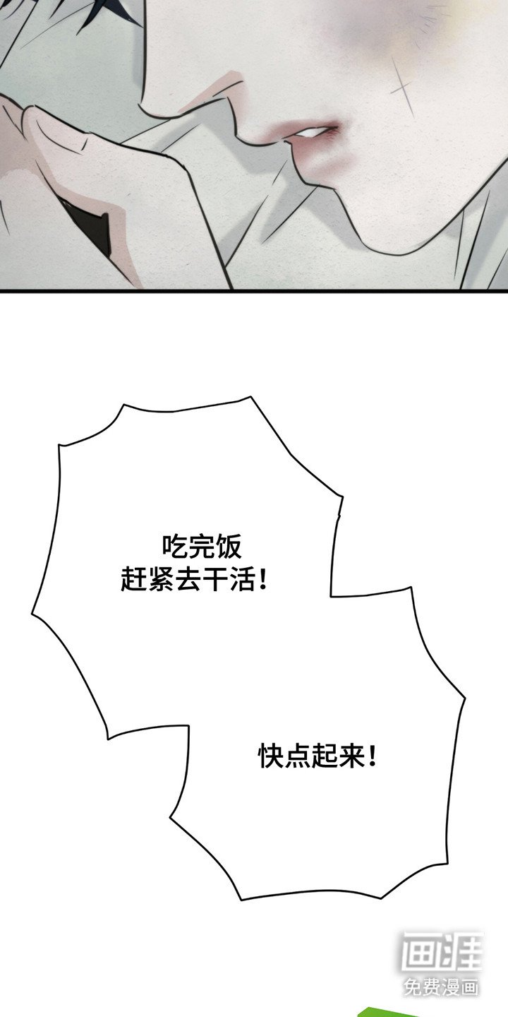 第2章：鼻青脸肿