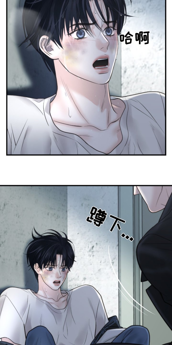 第40章：监视他