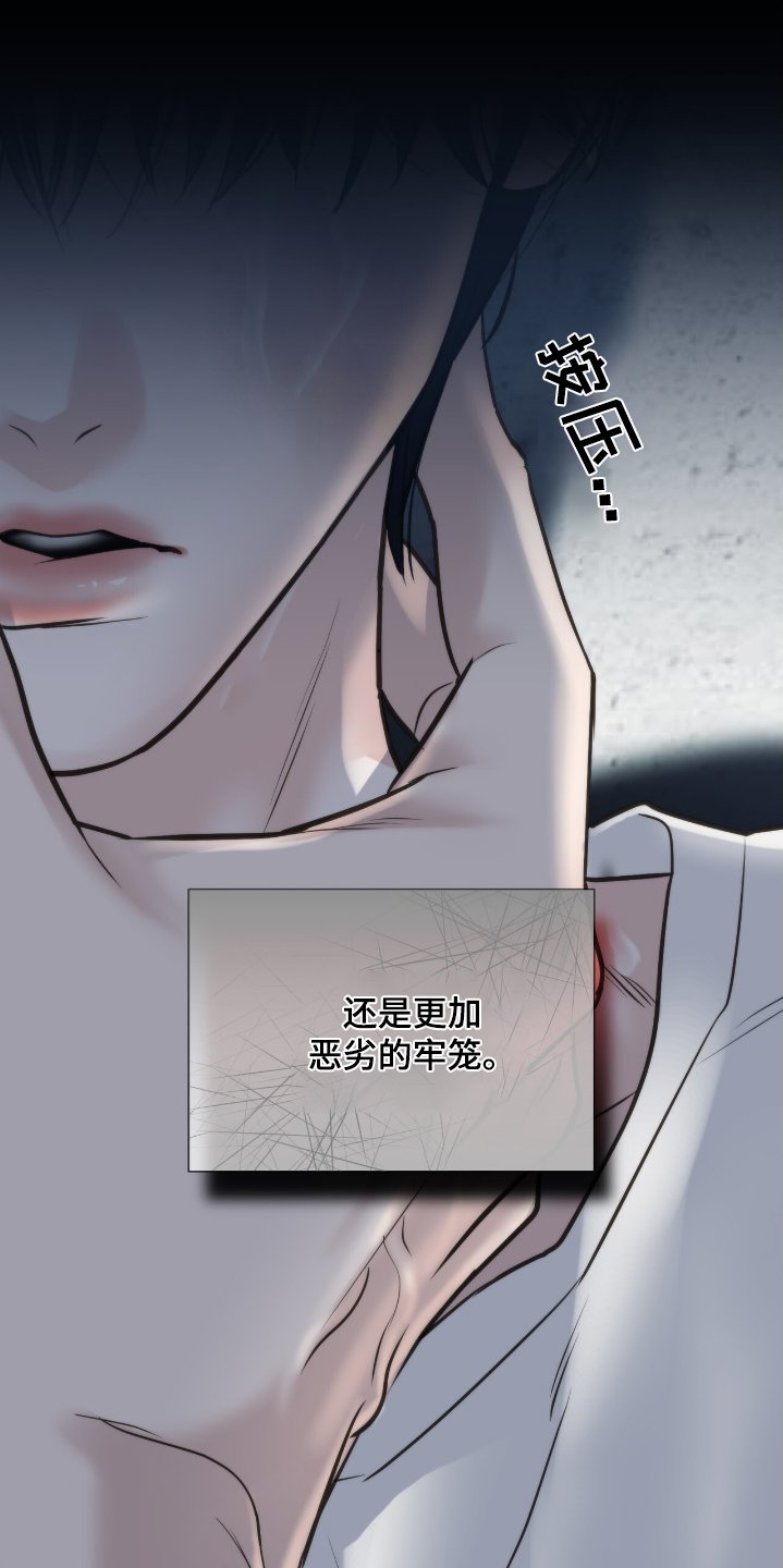 第40章：监视他