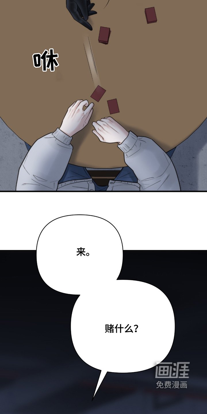 第43章：赌什么