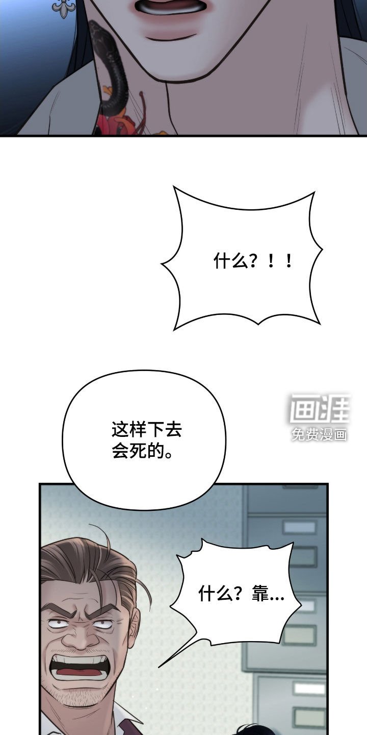 第48章：圈套