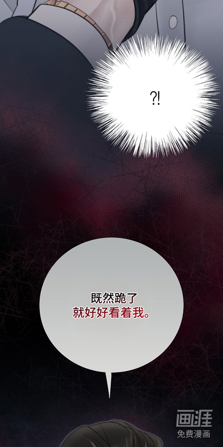 第7章：道歉